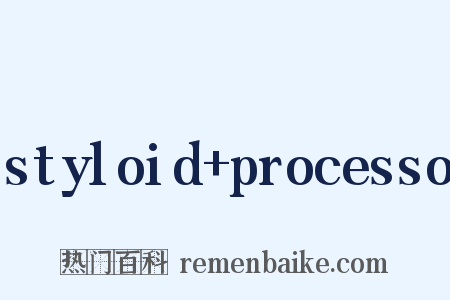 styloid+processo是什么意思的图片